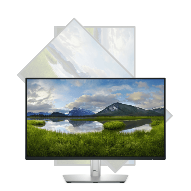 Monitor Dell 22" P2225H Led miniatura 12