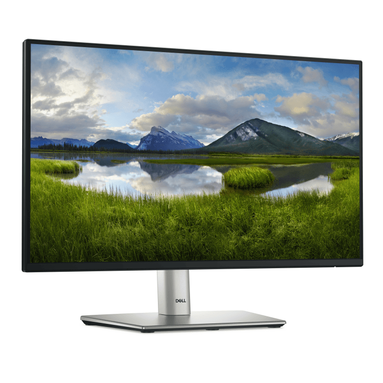 Monitor Dell 22" P2225H Led miniatura 4