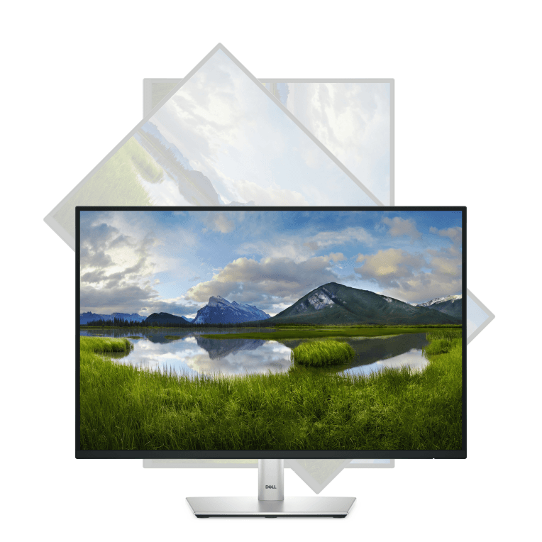 Monitor Dell 24" P2425 Led miniatura 12