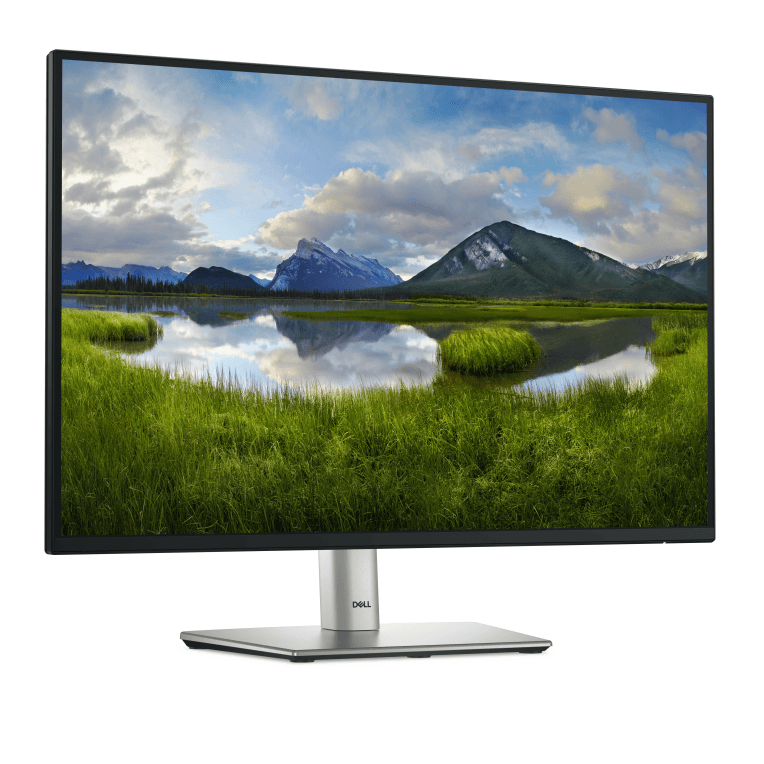 Monitor Dell 24" P2425 Led miniatura 4